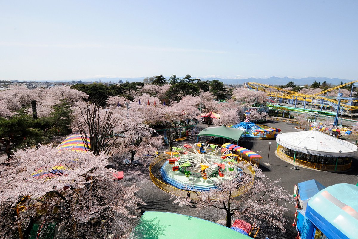 🎡 오토 미라이 화장사 유원지 (오토 미라이 케조지 유엔치) 이미지 7